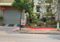 Em cần bán gấp lô đất ngay trung tâm Bình Dương giá chỉ 890tr, 100m2