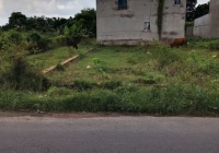 Bán đất sổ đỏ- chính chủ ở Bình Dương